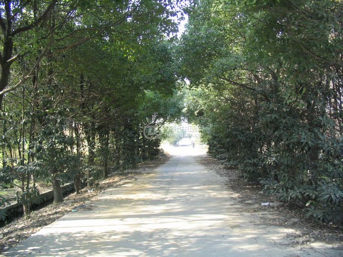 Ƭ 036.jpg