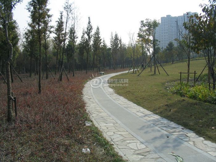 Ƭ 043.jpg
