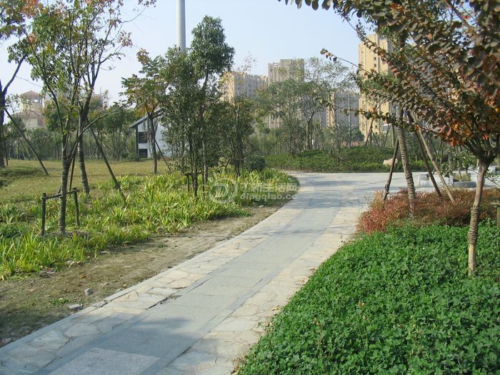 Ƭ 042.jpg