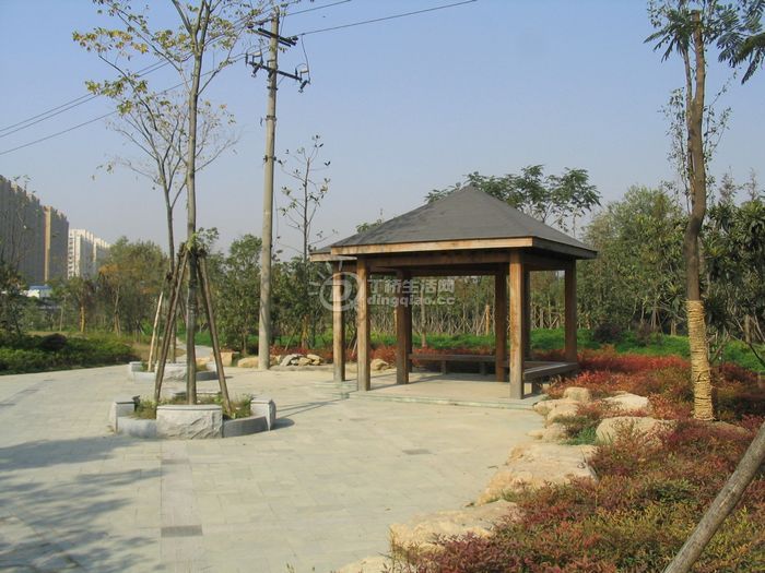 Ƭ 044.jpg