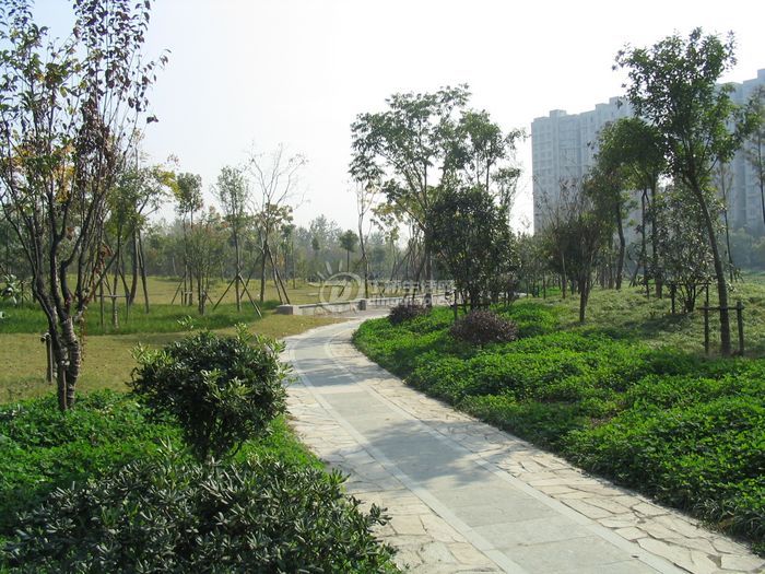 Ƭ 045.jpg