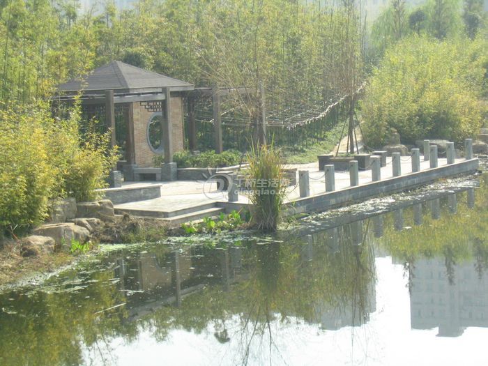 Ƭ 049.jpg